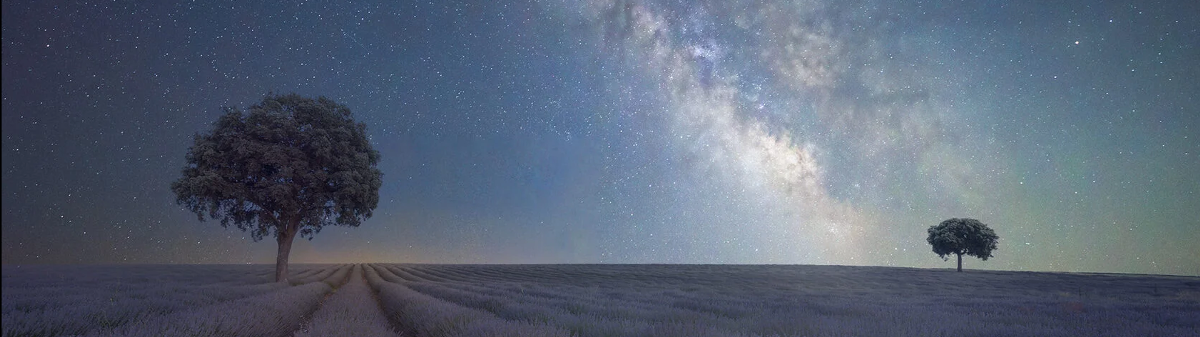 lavender milkyway header